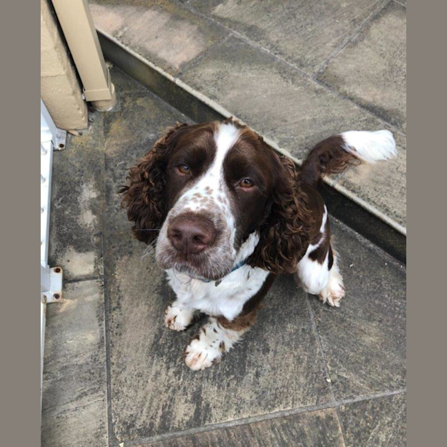 Photo of Ralph Valenti