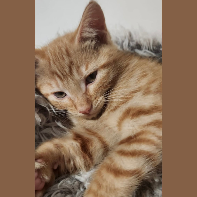 Photo of Miss Garfield 