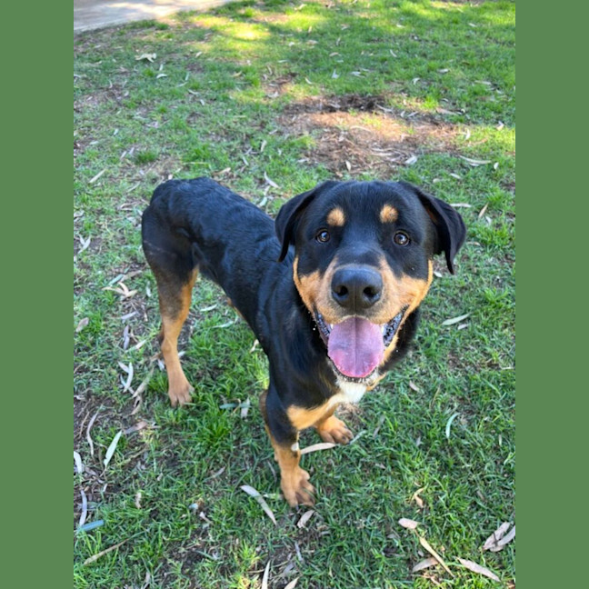 Photo of Skip