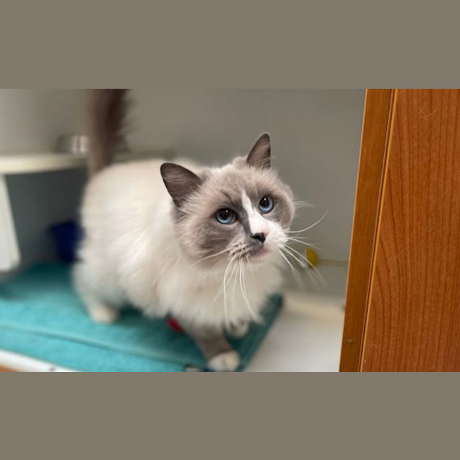 Photo of Mr. Ramekin 