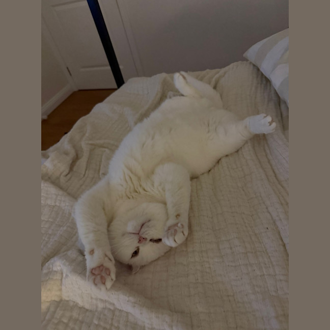Photo of Yuki