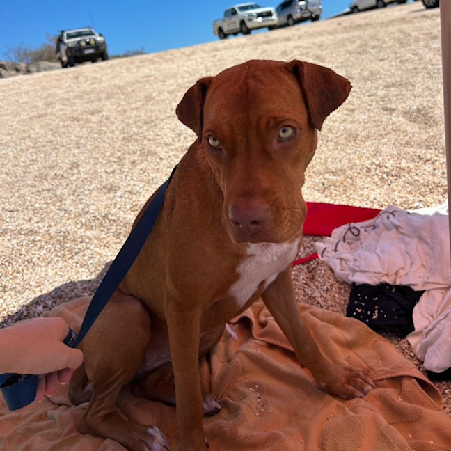 Photo of Tess
