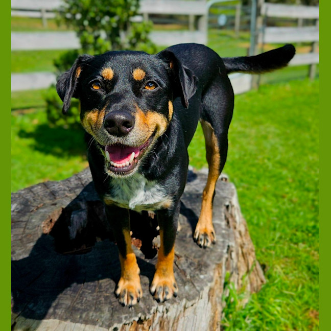 Photo of Kenai