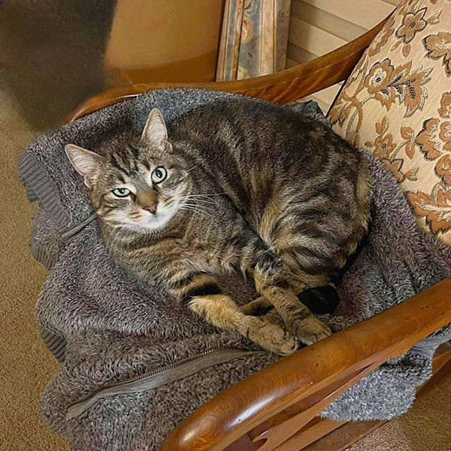 Photo of Fred And George