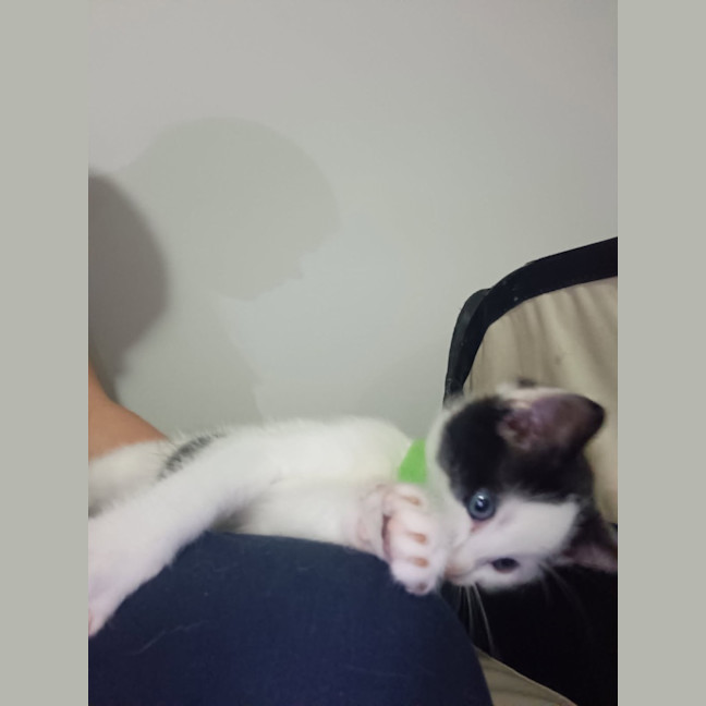 Photo of Charlie