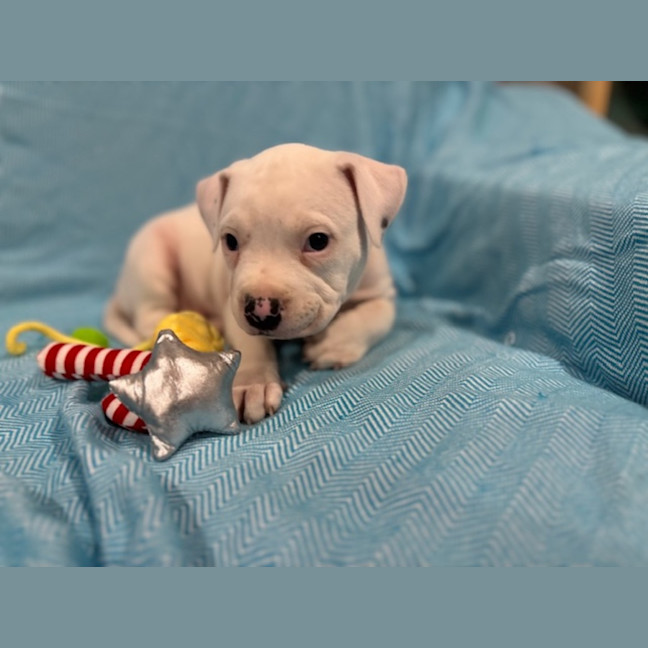 Photo of Cash