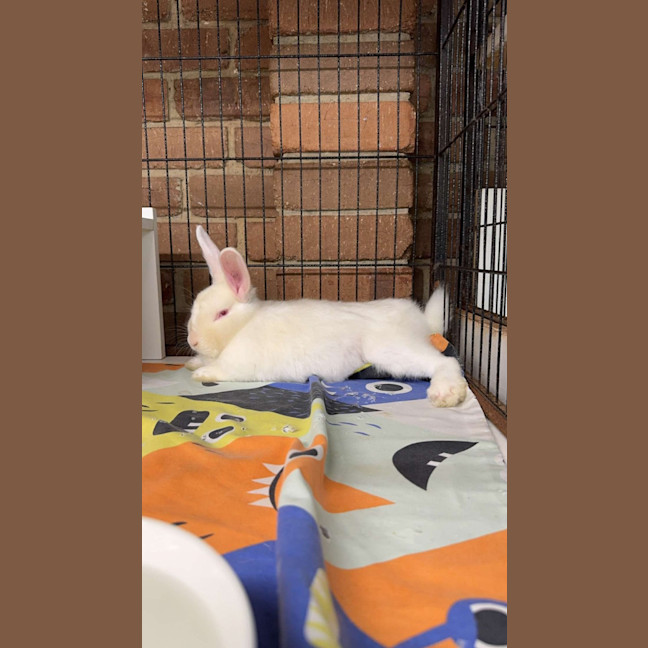 Photo of Gabriel (Gabe)