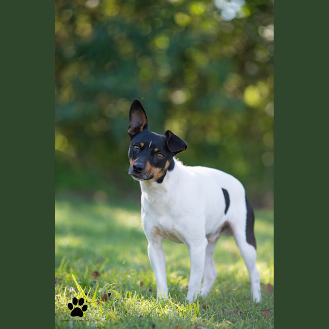 Photo of Jack