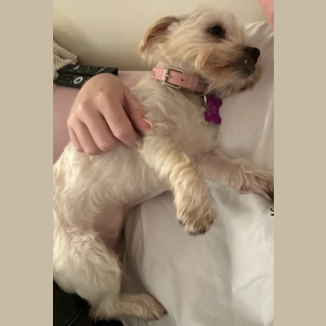 Photo of Minnie