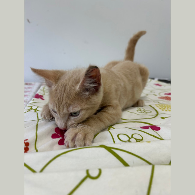 Photo of Bingo