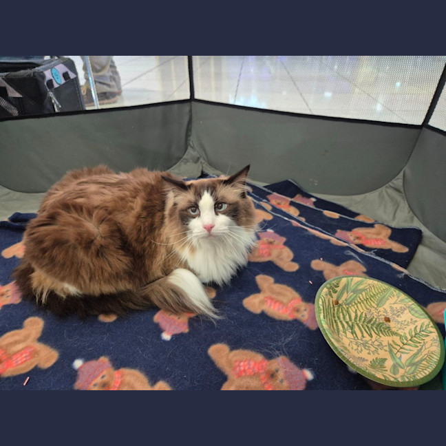 Photo of Bubbles And Lily 