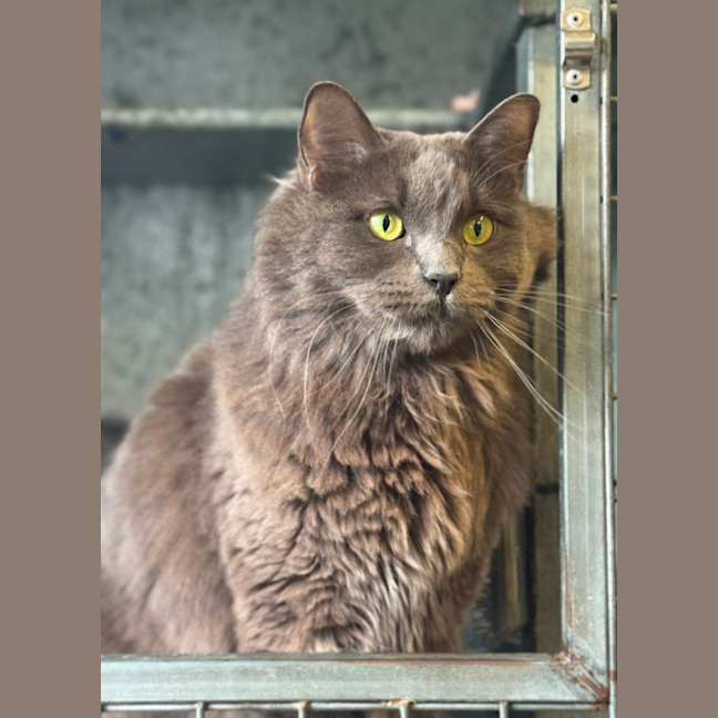 Photo of Tucker
