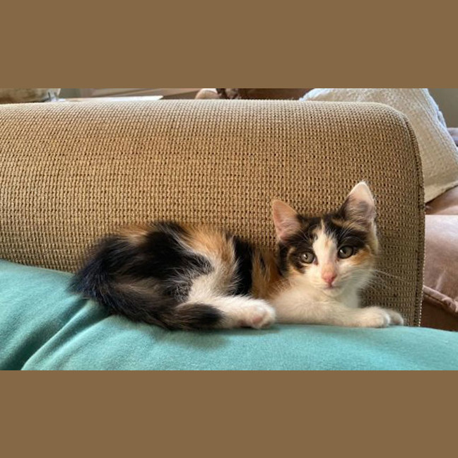 Photo of Ishy