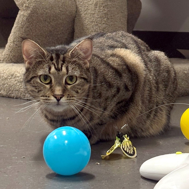 Photo of Marge Sta013634