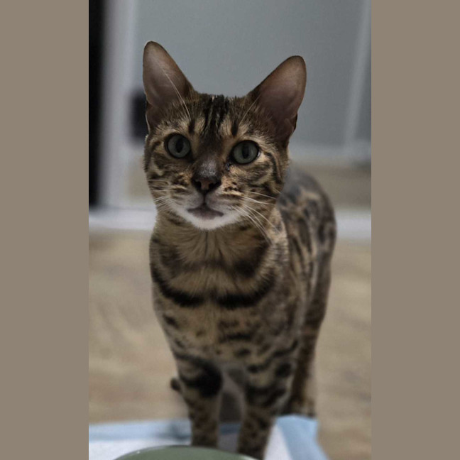 Photo of Chloe