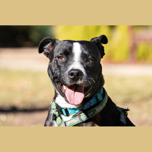 Photo of Hank Peggotty