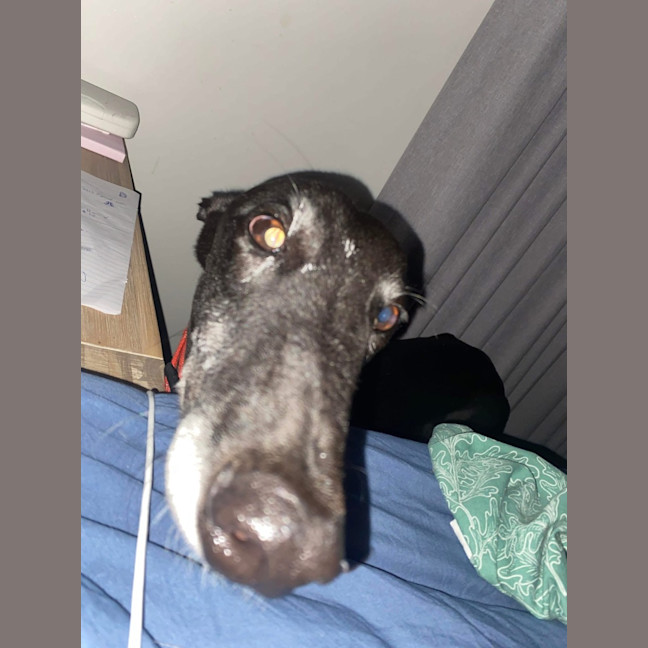 Photo of Larry