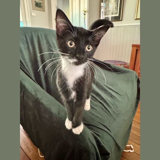 Photo of Baby & Belle