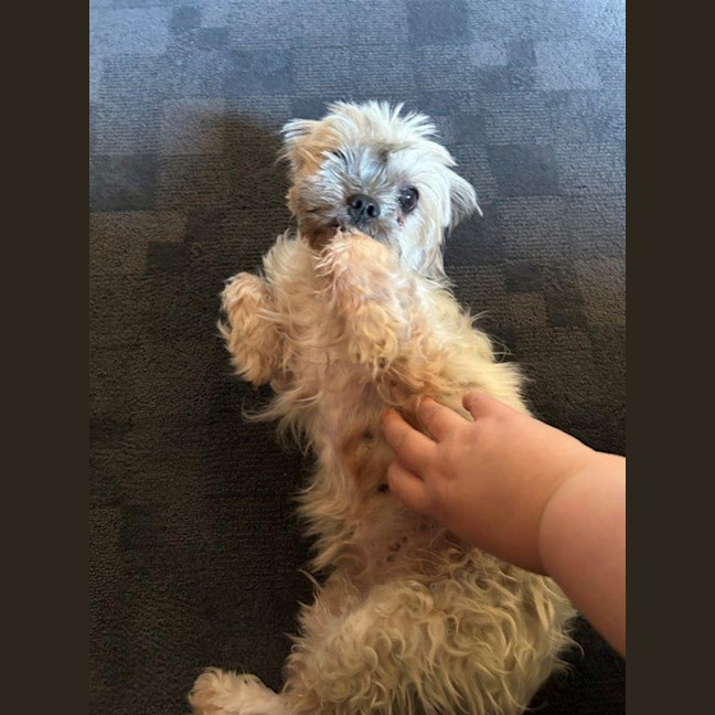 Photo of Gingy Newhaven