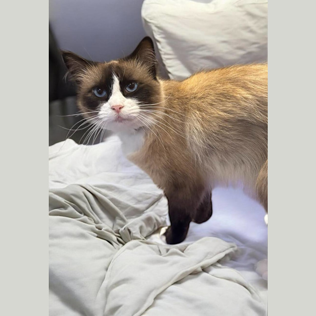 Photo of Knucker & Moley