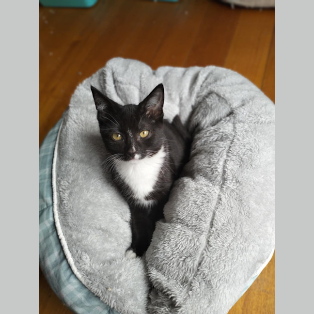 Photo of 🌸 Delta 🌸