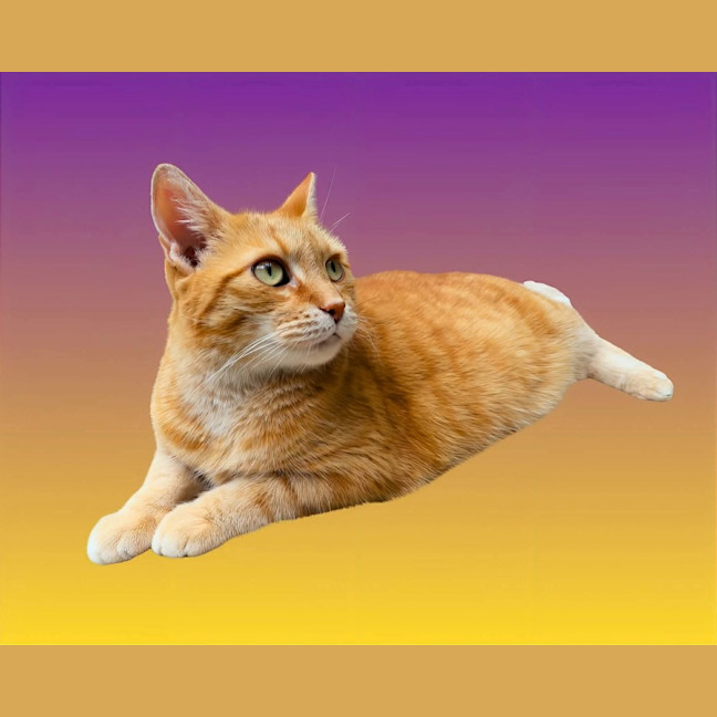 Photo of Meggsy