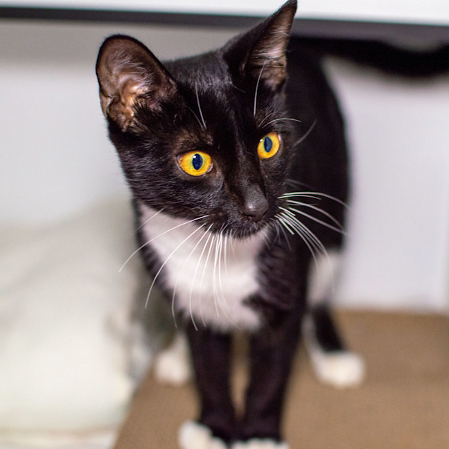 Photo of Dottie