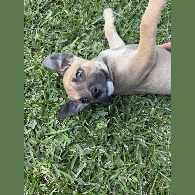 Photo of Hazel