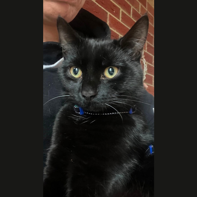 Photo of Prada & Vadar