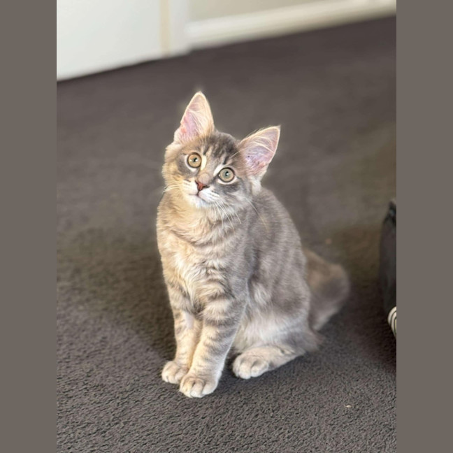 Photo of Maurice 💙