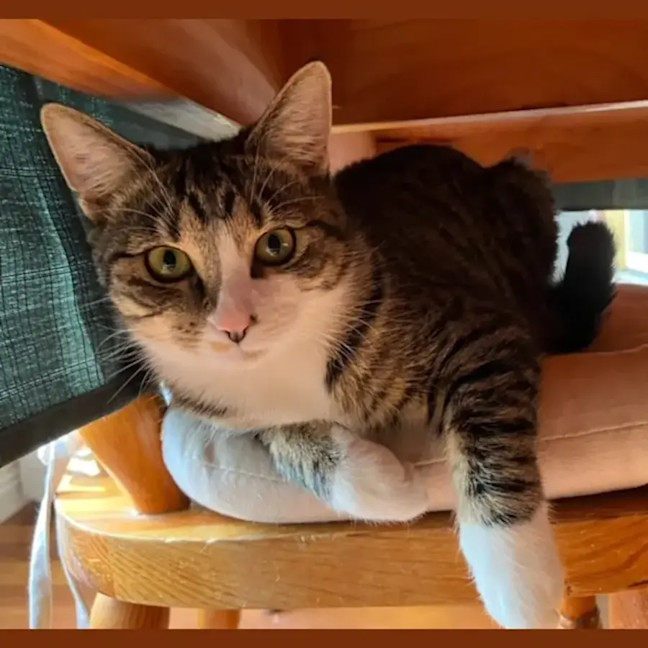Photo of Little One