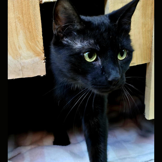 Photo of Monty & Betty