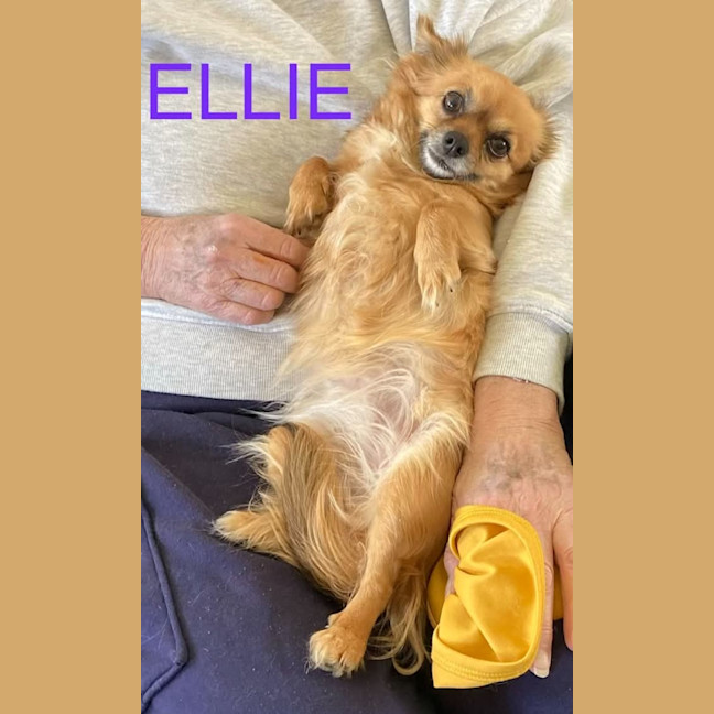 Photo of Ellie