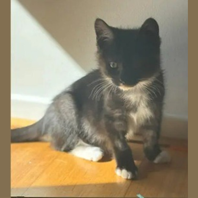 Photo of Edgar