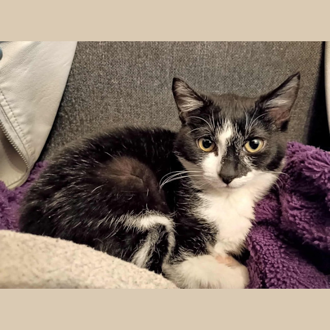 Photo of Mrs Pickles