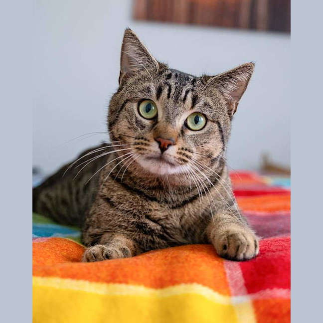 Photo of Oliver