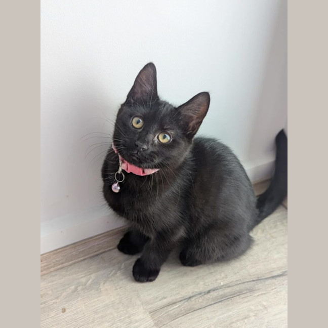 Photo of Sprout