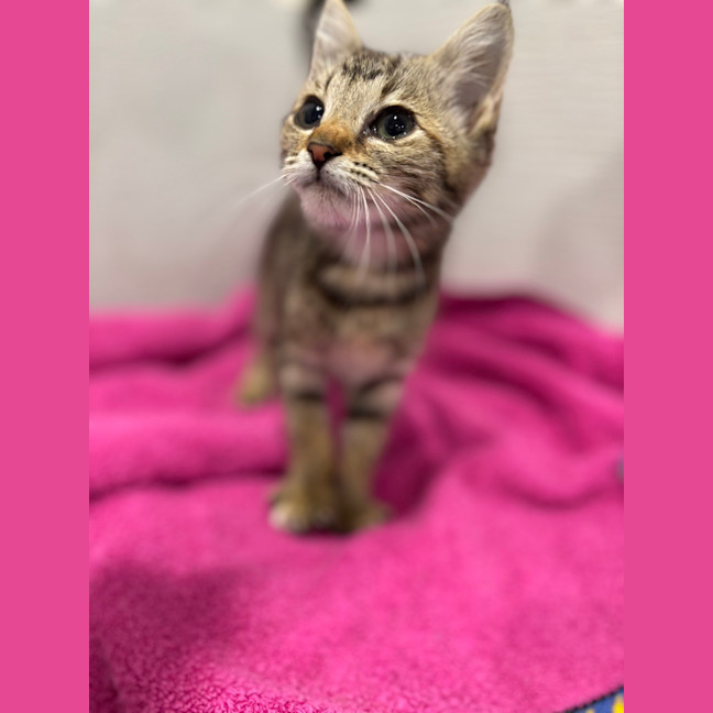 Photo of Lacie