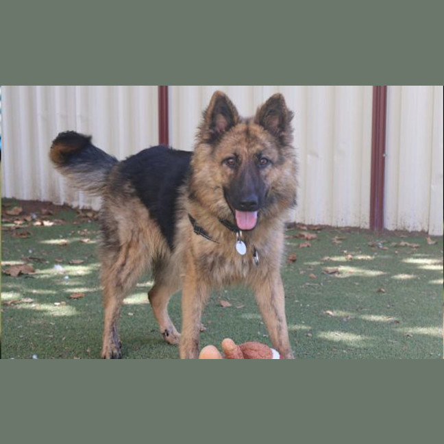 Photo of Delilah