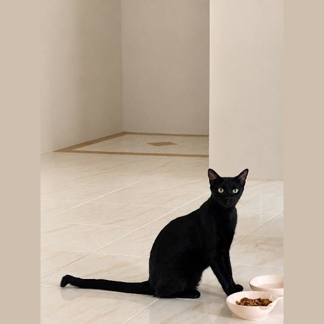 Photo of Claudine