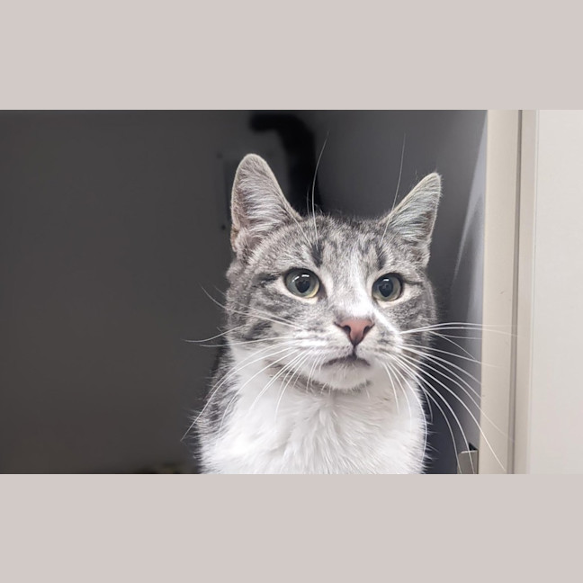 Photo of Marty