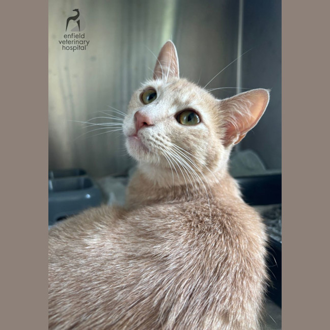 Photo of Happy Heidi