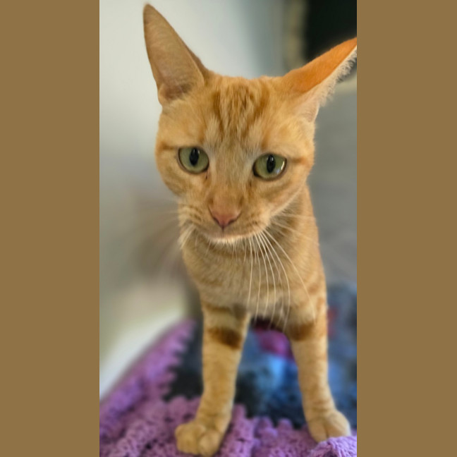 Photo of Moirai