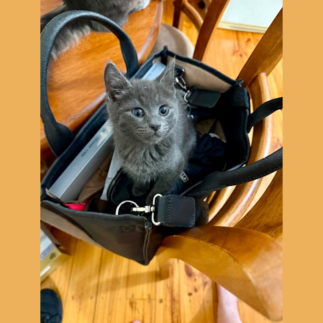 Photo of Gandalf And Florence