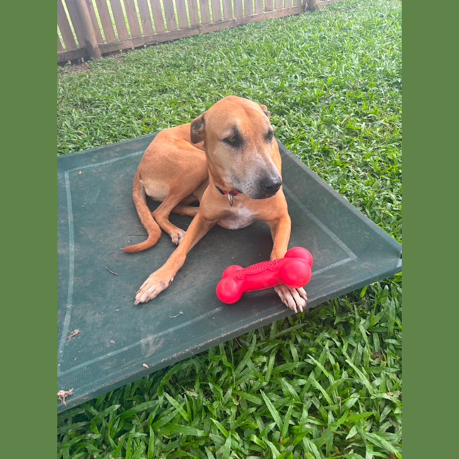 Photo of Delilah