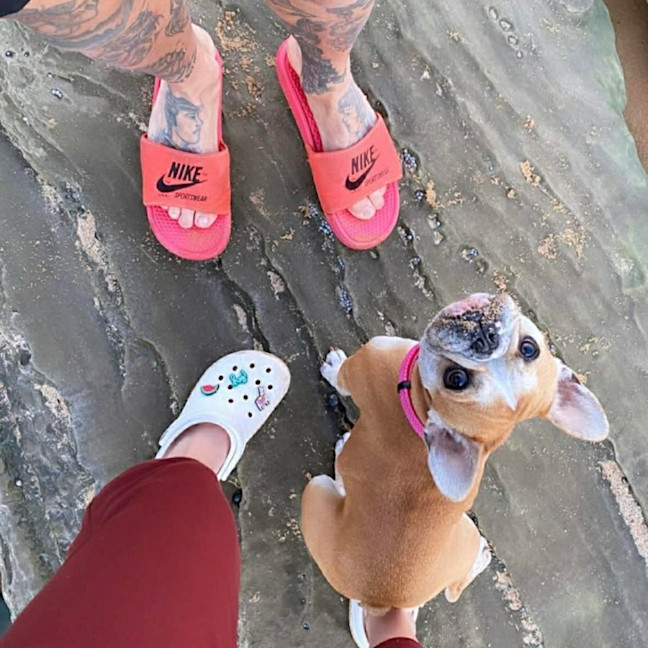 Photo of Lulu 🌸 Assisted Rehome