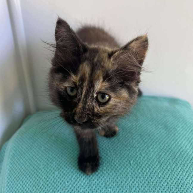 Photo of Huey And Lulu