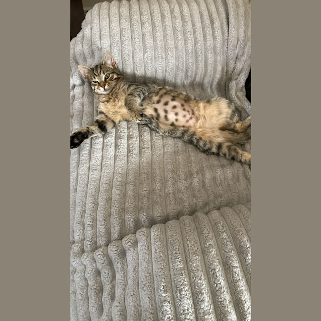 Photo of Mila