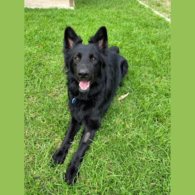 Photo of Roxy