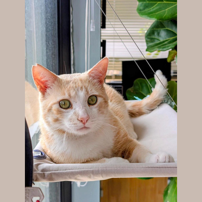 Photo of Mr Bubbles